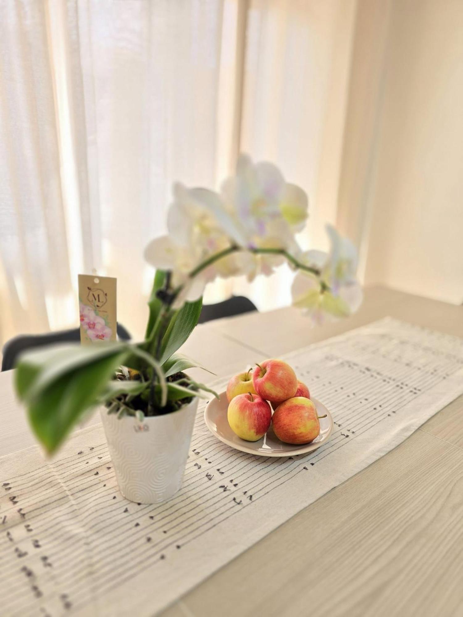 Aureum Loft 로마 외부 사진